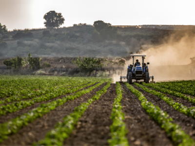 impresa agricola