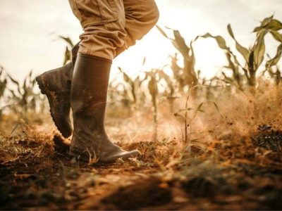 prelazione agraria